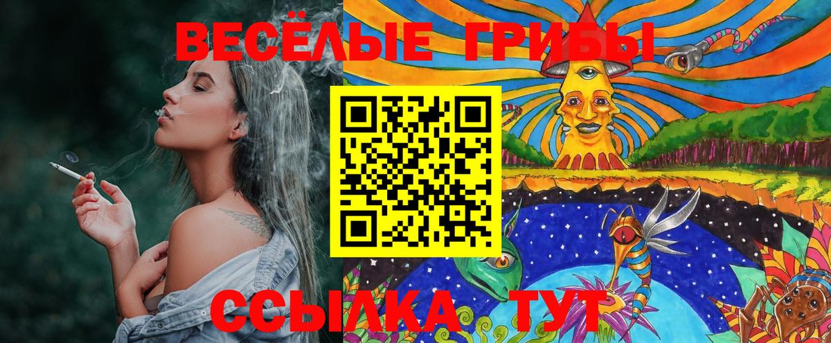 Псилоцибиновые грибы ЛСД Шатура