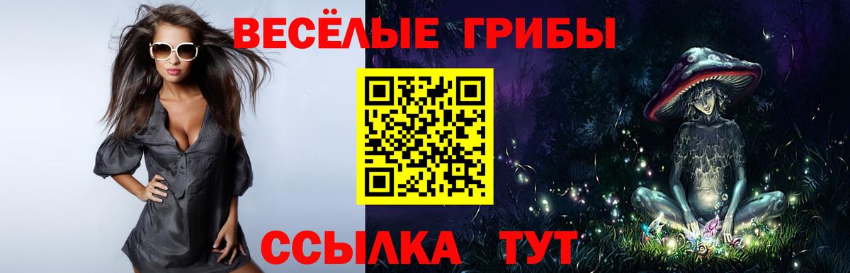 Шатура  Галлюциногенные грибы ЛСД  Вход с VPN  Галлюциногенные грибы мицелий 