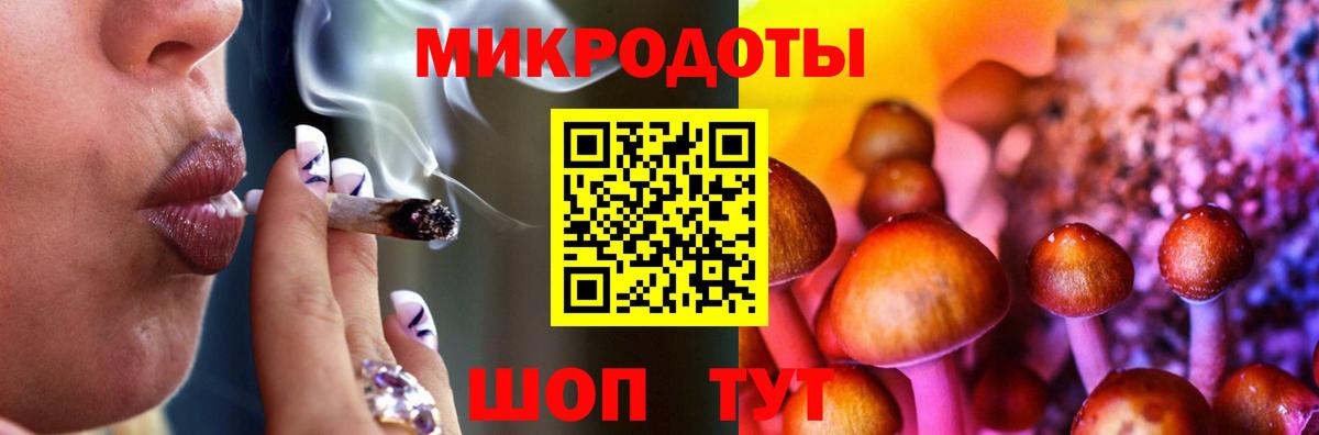 Галлюциногенные грибы Psilocybine cubensis Шатура