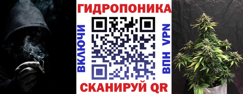 Марихуана план  Шатура 